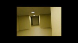 Backrooms 20 - Found footage #1