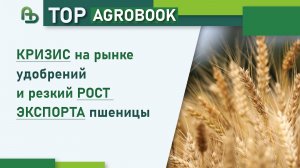 Кризис на рынке удобрений и резкий рост экспорта пшеницы | TOP Agrobook: обзор аграрных новостей