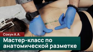 Мастер-класс по анатомической разметке для специалистов по работе с телом. Сокун А.А.