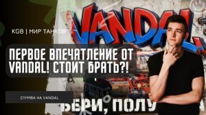 C1yMba ● ПЕРВОЕ ВПЕЧАТЛЕНИЕ ОТ VANDAL! СТОИТ ЛИ БРАТЬ ИМБУ ИЗ МАГАЗИНА НАТИСКА?