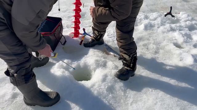 19.03.26 г. РК Волна. смотреть онлайн