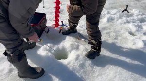 19.03.26 г. РК Волна.