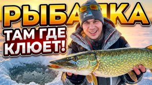 Рыбалка там где клюет