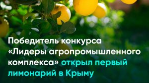 Победитель конкурса «Лидеры агропромышленного комплекса» открыл первый лимонарий в Крыму