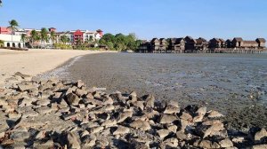 Приливы и отливы на Лангкави 🌊: правда, которую нужно узнать перед отдыхом