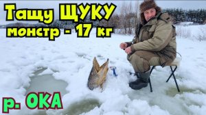 Поймал ЩУКУ-18 кг.- а она застряла в Лунке на Оке !!! Зимняя рыбалка с Михалычем. Жерлицы-2026  №-3