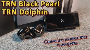 TRN Dolphin & Black Pearl - Свежие новости с морей
