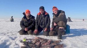 🎣Ловля весной_ мормышки