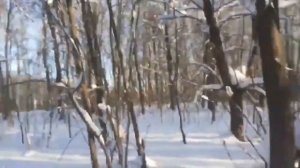 пацан, который выжил ЧАСТЬ 12