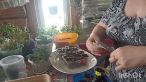 //172// Жизнь в деревне.Миша мне принёс работу.Нажарила блины.