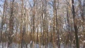 пацан, который выжил ЧАСТЬ 17