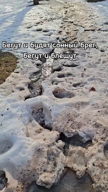 💠Тютчев Ф.И. 