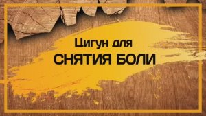 13. ЦИГУН для СНЯТИЯ БОЛИ . ЛИ ХОЛДЕН.