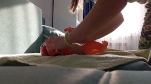 Новый влог/Влог с реборном/ Влог с бейби борном