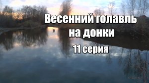 Весенний голавль на донки. 11 серия. Прогнал браконьера с сетью.