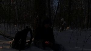 похищенный для леса ЧАСТЬ 24