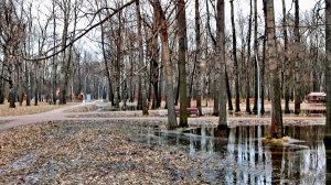 19 марта в парке