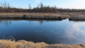 Голова великана в Межстоличьи