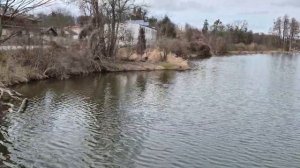 Путешествие на природе у озера 17.03 в Польше. Мир Универсологии