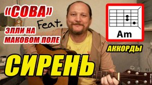 СИРЕНЬ - СОВА, ЭЛЛИ НА МАКОВОМ ПОЛЕ (АККОРДЫ ДЛЯ ГИТАРЫ, БОЙ И ТЕКСТ ПЕСНИ) КАК ИГРАТЬ (ВИДЕОРАЗБОР)