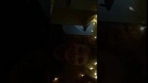 котики просто стрим заходите