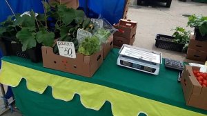 1194 город Орёл 29.05.2021 площадь Жукова ярмарка выходного дня выходной фермеры ИП продукты цены