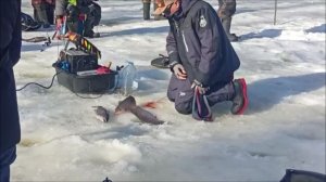 Утро на Спорт-зоне. Клёвое место Лосиный остров.