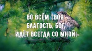 Люблю Тебя - минус мой 2