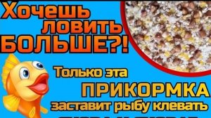 Универсальная прикормка которая не оставит тебя без улова!