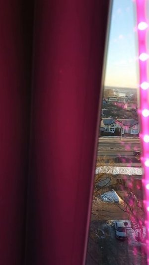 растения у моей бабушки наты