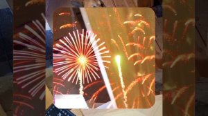 1000052693.mp4 (Собака наблюдает за устройством лестницы на 2-ой этаж в доме А-фрейм)