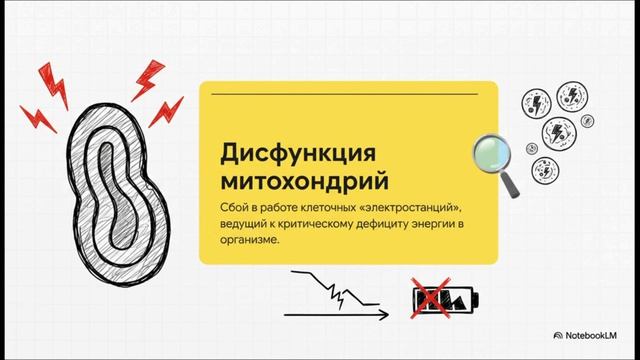 4 сценария старения