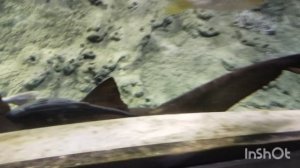 Погуляли По Голактике