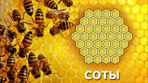 из Гарыныч ВЕТЕР-Собственность Господа!-5282-Հոհա, հոհայ եմ ես...