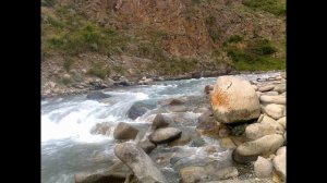 Белый порох