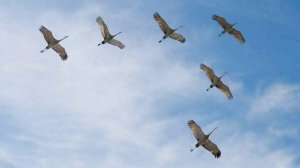 Я не успевала за мирами шагать.