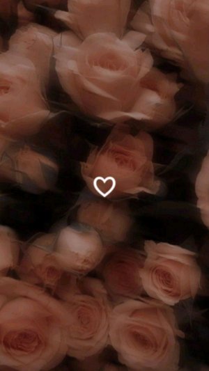 продолжаю трансляцию