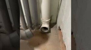 Если ты что-то чините, то делай это хорошо.