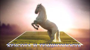 КРАСОТА И ГРАЦИОЗНОСТЬ! | ФотоШОУ PRO | FotoShow PRO