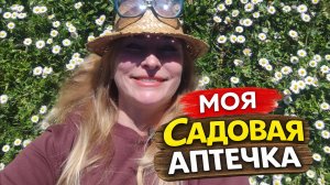 Вот чем я спасаю растения. Моя садовая аптечка во Франции