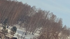 рякцыя на клип домера (на 8 000000 потпишеков)