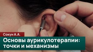 Основы аурикулотерапии: воздействие на биологически активные зоны ушной раковины.