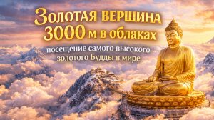 🇨🇳 Золотая вершина 3000 м в облаках: посещение самого высокого золотого Будды в мире 🇨🇳