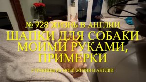 Что с Люси? Примерка шапок для собак. № 928 Жизнь в Англии