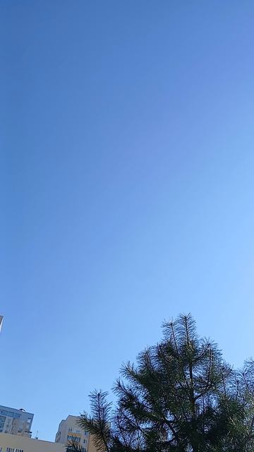 УЛЫБНИСЬ, И ВСЁ  ВОКРУГ  ИЗМЕНИТСЯ !!!