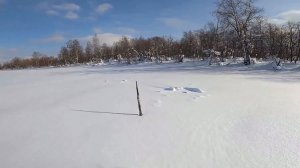 ТИШИНА!!! Я НА РЫБАЛКЕ.