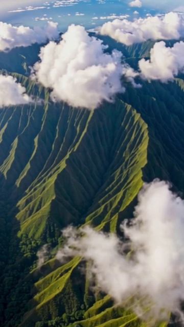 #природа #путешествиевприроду #природаприключения #защитаприроды #природноеудовольствие #фотоприрод