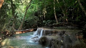 Успокаивающая музыка для нервов 🌿 лечебная музыка для сердца и сосудов, релакс, музыка для души