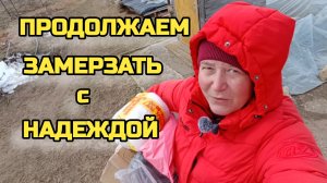 Рассада растет как на дрожжах. Не привезли гофру. Посылка от подписчицы.