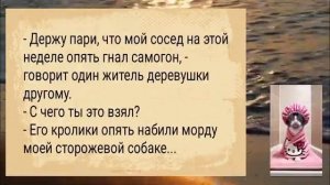 Засунула_банан_в_АНЕКДОТЫ_#шутки_#юмор_#сборниканекдотов_#подборкаанекдотов